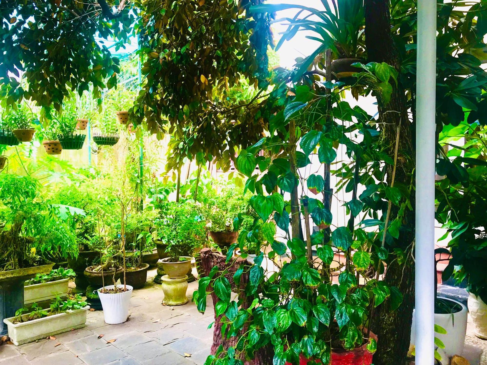 Pebble Homestay Hoi An Exterior foto