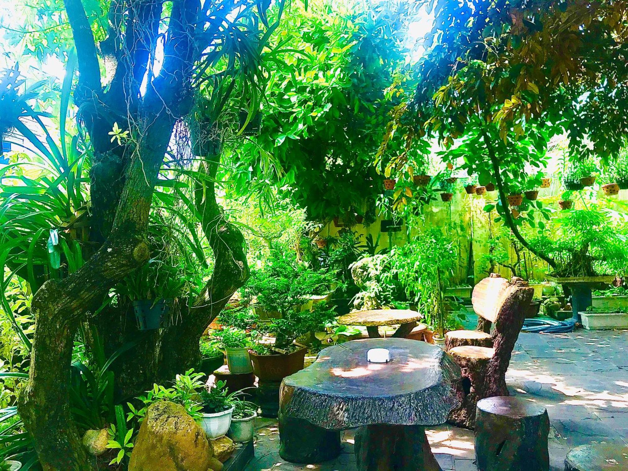 Pebble Homestay Hoi An Exterior foto